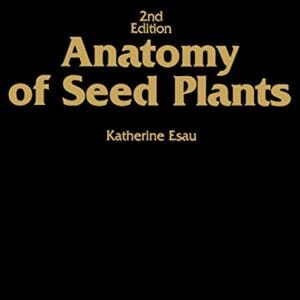 Anatomy of Seed Plants