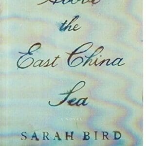 Above the East China Sea: A novel