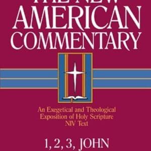 1,2,3 John: An Exegetical and Theological Exposition of Holy Scripture (Volume 38) (The New American Commentary)