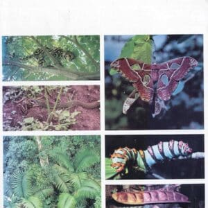 Costa Rican Natural History [Paperback] Janzen, Daniel H.