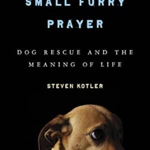 A Small Furry Prayer: Dog Rescue and the Meaning of Life